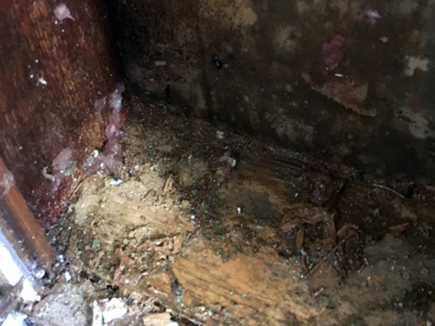 Mold & Mildew Remediation - Crawl Space Water Damage