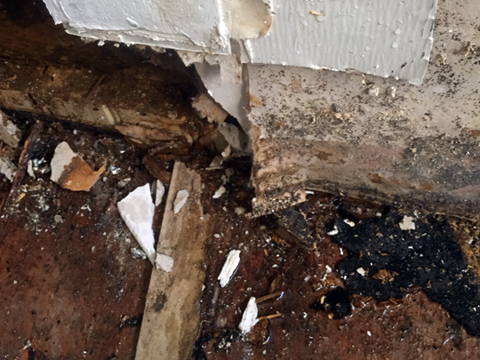 Mold & Mildew Remediation - Crawl Space Water Damage